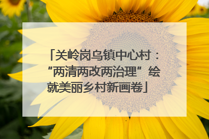 关岭岗乌镇中心村：“两清两改两治理”绘就美丽乡村新画卷