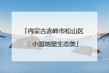 内蒙古赤峰市松山区：小湿地里生态美