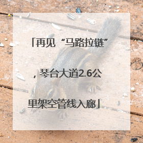 再见“马路拉链”，琴台大道2.6公里架空管线入廊