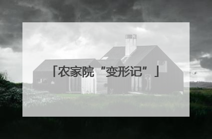 农家院“变形记”