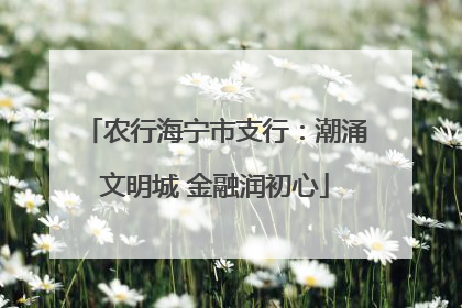 农行海宁市支行：潮涌文明城 金融润初心