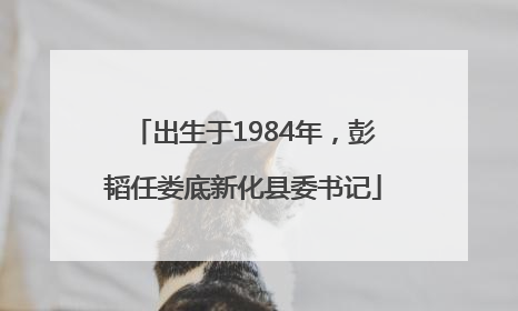 出生于1984年，彭韬任娄底新化县委书记