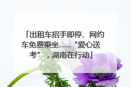 出租车招手即停、网约车免费乘坐……“爱心送考”，湖南在行动