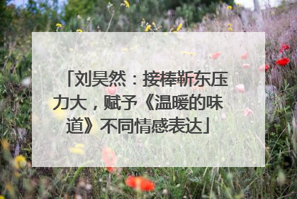 刘昊然：接棒靳东压力大，赋予《温暖的味道》不同情感表达