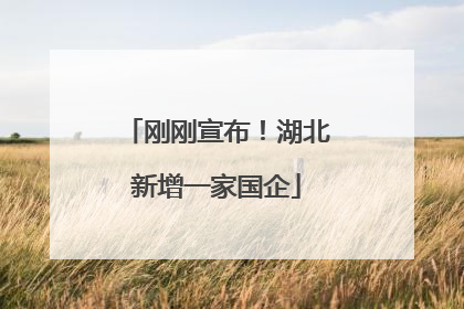 刚刚宣布！湖北新增一家国企