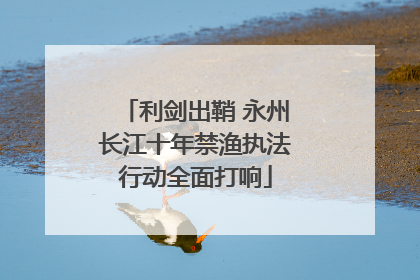 利剑出鞘 永州长江十年禁渔执法行动全面打响