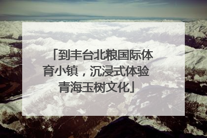 到丰台北粮国际体育小镇，沉浸式体验青海玉树文化