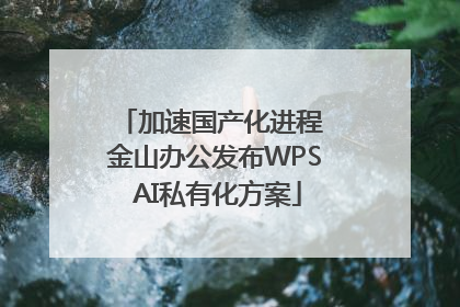 加速国产化进程 金山办公发布WPS AI私有化方案