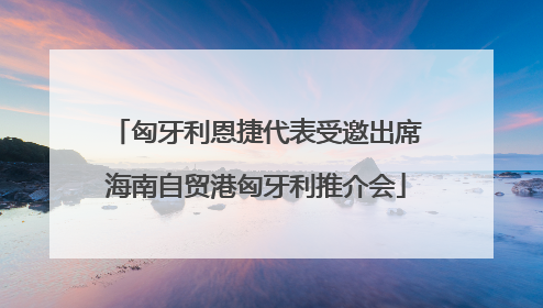 匈牙利恩捷代表受邀出席海南自贸港匈牙利推介会