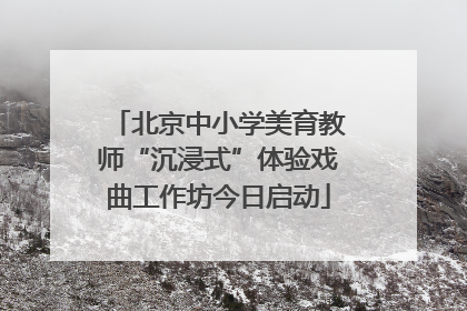 北京中小学美育教师“沉浸式”体验戏曲工作坊今日启动