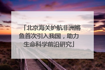 北京海关护航非洲鳉鱼首次引入我国，助力生命科学前沿研究