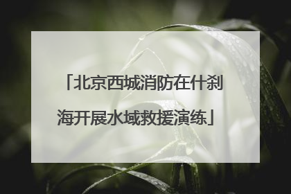 北京西城消防在什刹海开展水域救援演练