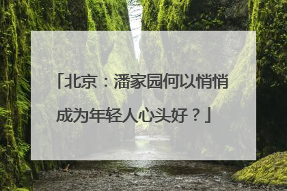 北京：潘家园何以悄悄成为年轻人心头好？