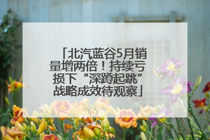 北汽蓝谷5月销量增两倍！持续亏损下“深蹲起跳”战略成效待观察
