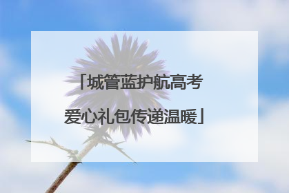 城管蓝护航高考 爱心礼包传递温暖