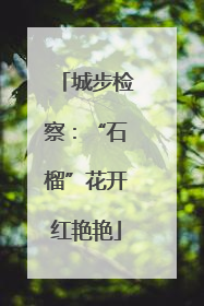 城步检察：“石榴”花开红艳艳