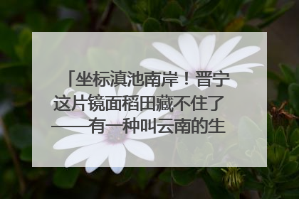 坐标滇池南岸！晋宁这片镜面稻田藏不住了——有一种叫云南的生活之365天