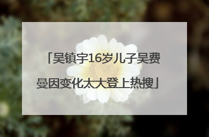 吴镇宇16岁儿子吴费曼因变化太大登上热搜
