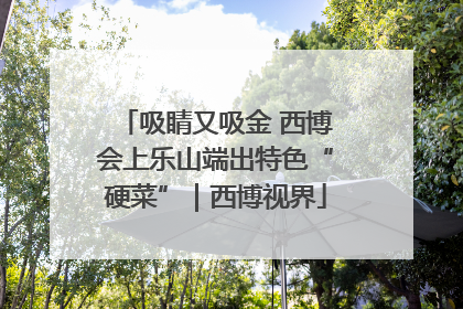 吸睛又吸金 西博会上乐山端出特色“硬菜”｜西博视界