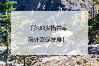 各地多措并举稳外贸促发展