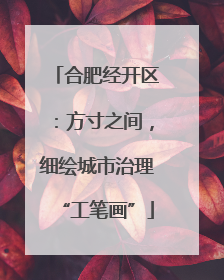 合肥经开区：方寸之间，细绘城市治理“工笔画”