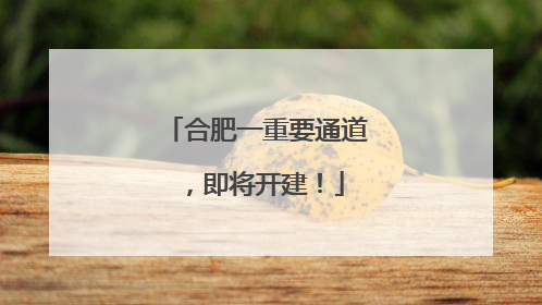 合肥一重要通道，即将开建！