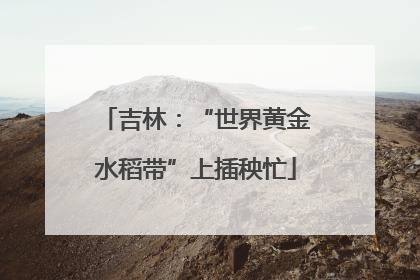 吉林：“世界黄金水稻带”上插秧忙