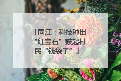 同江：科技种出“红宝石”鼓起村民“钱袋子”