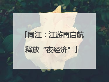 同江：江游再启航 释放“夜经济”