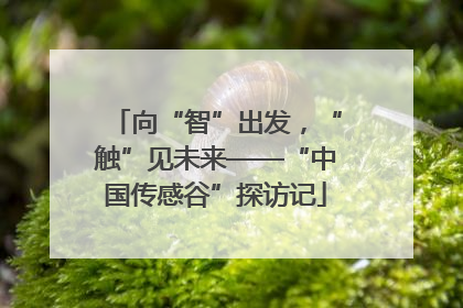 向“智”出发，“触”见未来——“中国传感谷”探访记