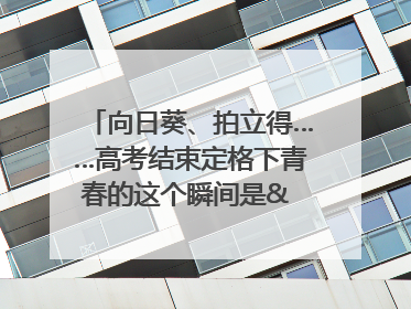 向日葵、拍立得……高考结束定格下青春的这个瞬间是& 8594;｜2025四川高考