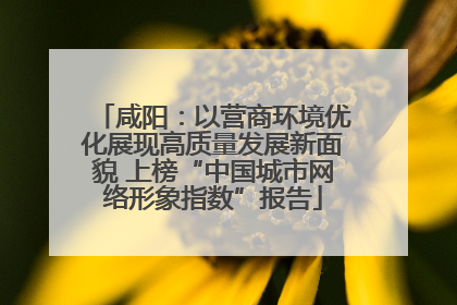 咸阳：以营商环境优化展现高质量发展新面貌 上榜“中国城市网络形象指数”报告