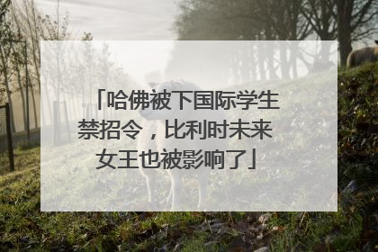 哈佛被下国际学生禁招令，比利时未来女王也被影响了