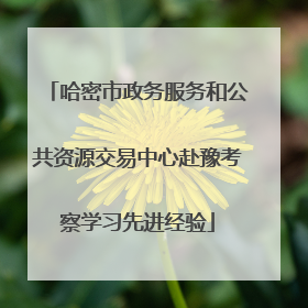 哈密市政务服务和公共资源交易中心赴豫考察学习先进经验