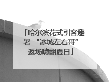 哈尔滨花式引客避暑 “冰城左右哥”返场嗨翻夏日