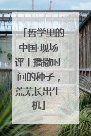 哲学里的中国·现场评丨播撒时间的种子，荒芜长出生机