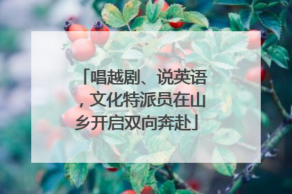 唱越剧、说英语，文化特派员在山乡开启双向奔赴