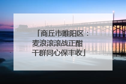 商丘市睢阳区：麦浪滚滚战正酣 干群同心保丰收