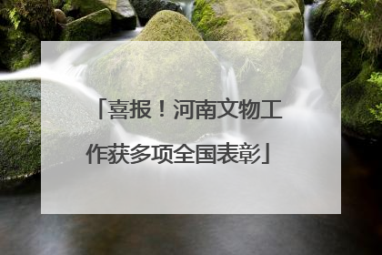 喜报！河南文物工作获多项全国表彰
