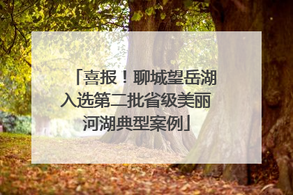 喜报！聊城望岳湖入选第二批省级美丽河湖典型案例