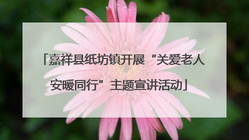 嘉祥县纸坊镇开展“关爱老人 安暖同行”主题宣讲活动