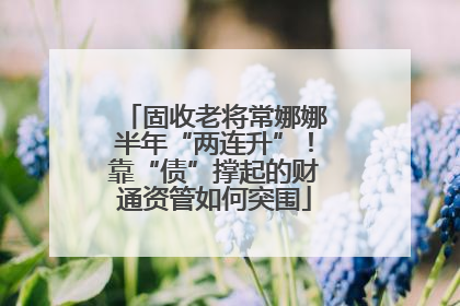 固收老将常娜娜半年“两连升”！靠“债”撑起的财通资管如何突围
