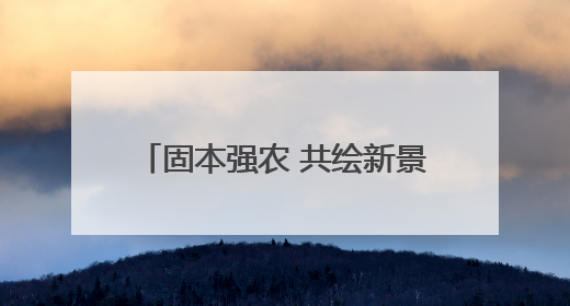 固本强农 共绘新景 ︳卫辉市南社村：蔬菜村的“链”动力