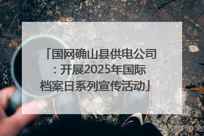 国网确山县供电公司：开展2025年国际档案日系列宣传活动
