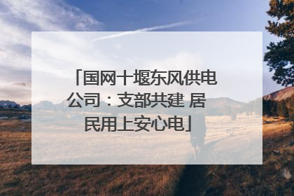 国网十堰东风供电公司：支部共建 居民用上安心电