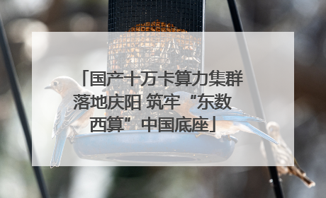 国产十万卡算力集群落地庆阳 筑牢“东数西算”中国底座