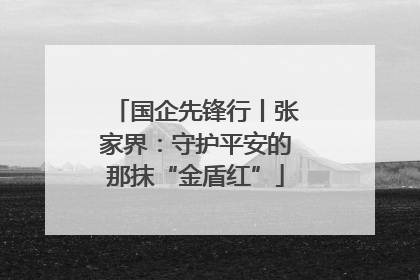 国企先锋行丨张家界：守护平安的那抹“金盾红”