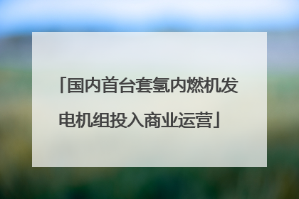 国内首台套氢内燃机发电机组投入商业运营