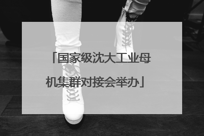 国家级沈大工业母机集群对接会举办