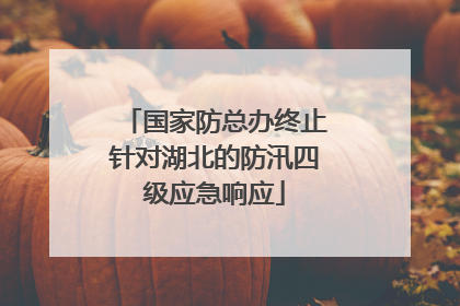 国家防总办终止针对湖北的防汛四级应急响应